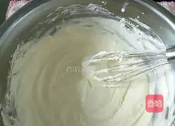 Marble light cheesecake recipe 3