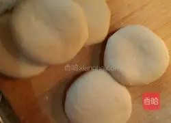 Illustration of how to make beef patties 8