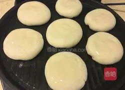 Pork and cabbage pie recipe 13