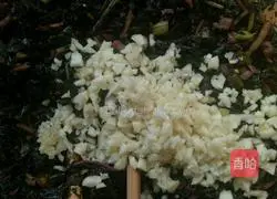 Illustration of how to make lettuce cake 5