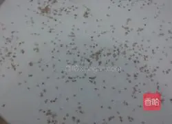 Shandong pancake recipe 2