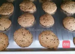 Sesame shortbread recipe 9