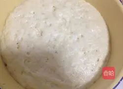 Illustration of how to make yeast meat pie 2