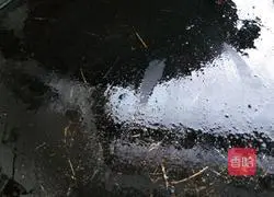 Three Illustration of how to make fresh pie 9