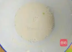 Rice Pancakes Illustration of how to do it 2