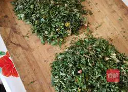 Wild vegetable pancake recipe 1