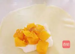 Mango pancake recipe 13