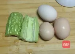 Bitter Melon Egg Pancake Recipe Illustration 1
