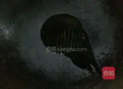 Potato, Mushroom and Minced Meat Pancake Recipe Illustration 6