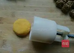 Pumpkin pie recipe 15