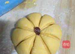 Illustration of how to make pumpkin pie 8