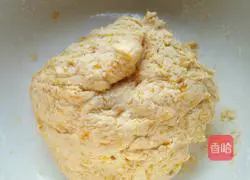 Pumpkin pie (non-fried version) recipe 9