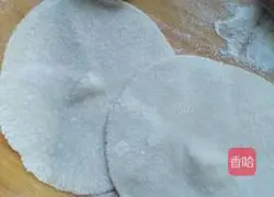 Pork and green onion pie recipe 4