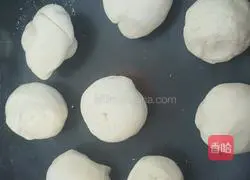 Sesame Burnt Pancake Chicken Fillet Illustration of how to make cakes 2