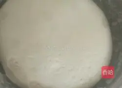 Pork and cabbage pie recipe 2