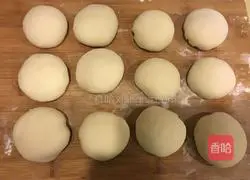 Pork and cabbage pie recipe 12