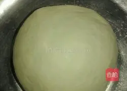 Illustration of how to make cabbage patties 3