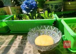 Star-shaped tortilla recipe illustration 7