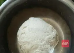 Sesame scallion pancake recipe 1