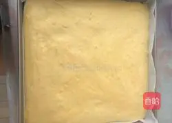 French sponge cake recipe 9