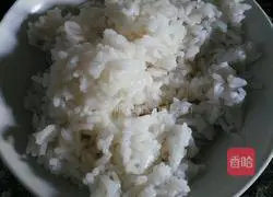 Illustration of home-cooked sushi 3