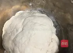 Illustration of how to make pan-fried beef patties 1