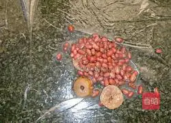 Illustration of how to make bean paste and crab cakes 2