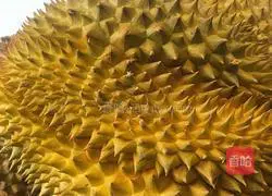 Illustration of homemade internet celebrity durian cake 1