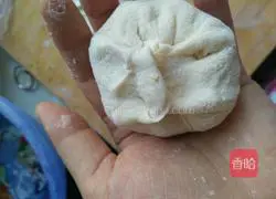 Pork and green onion pie recipe 6