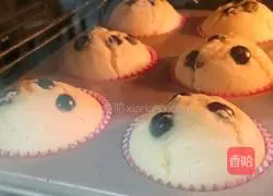 Blueberry Muffin Cake Recipe Illustration 15