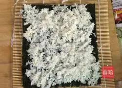 Illustration of how to make sushi 2 