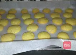 Chicken Pancake Recipe Illustration 13