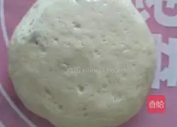 Donkey meat pie recipe 9