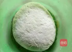 Illustration of how to make scallion dough cake 5