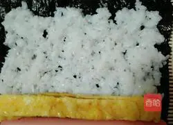 Illustration of homemade sushi 6