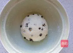 Cranberry pineapple buns recipe 4