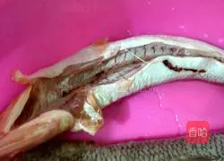 Illustration of how to make scallion fish cakes 1