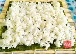 Illustration of how to make sushi 9