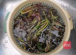 Illustration of how to make Chinese toon sprout egg cake 2