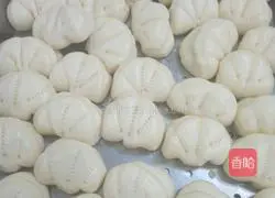 Shaanxi Mini Butterfly Lotus Leaf Cake Recipe Illustration 8