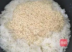 Illustration of how to make sushi 10