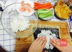 Shrimp Illustration of how to make sushi 4