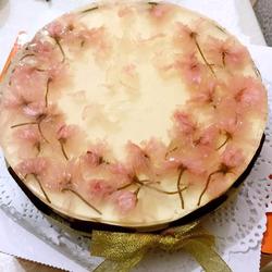 Fashion mom teaches you how to make dreamy cherry blossom yogurt jelly cheesecake