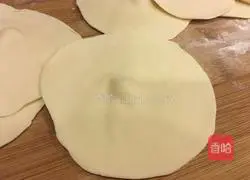 Pork and cabbage pie recipe 9