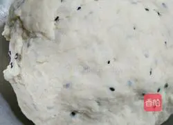 Illustration of how to make scallion pancakes 3