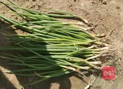 福Illustration of how to make Thousand Layer Shaobing 9