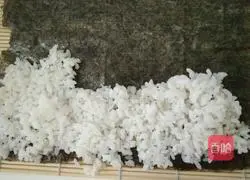 Home-cooked sushi recipe 8