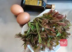 Illustration of how to make Chinese toon sprout egg pancake 1