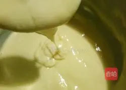 Kuaishou Waffle Recipe Illustration 4