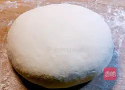 Onion and beef pie recipe 9